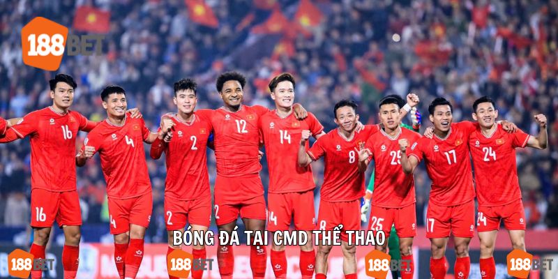 Thể thao vua bóng đá luôn là lựa chọn số 1