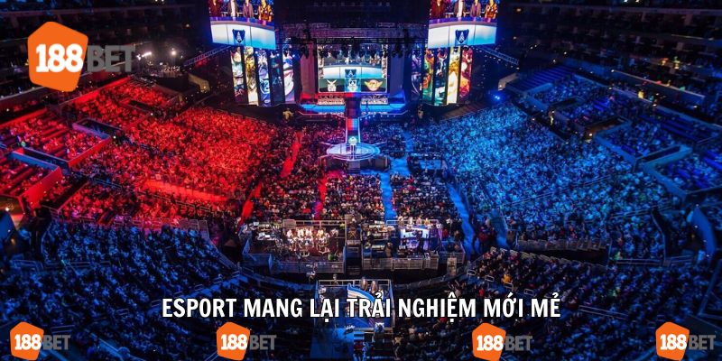 Không khí mới mẻ cùng bộ môn Esport