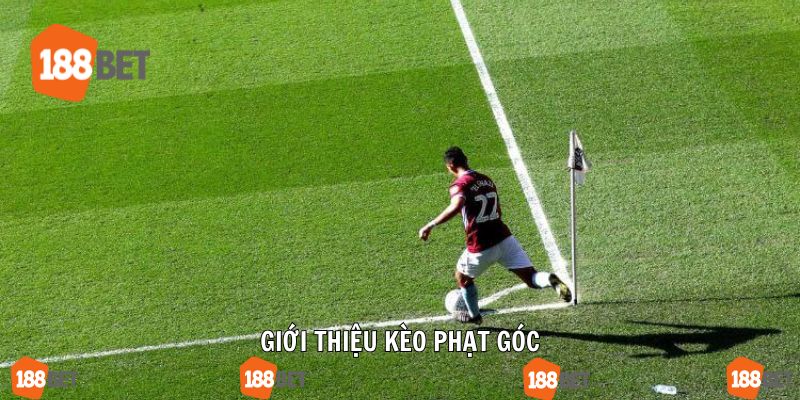 Chi tiết về kèo hết đường biên ngang